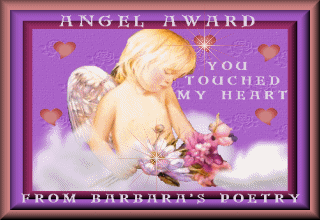 Barbara's Award For You